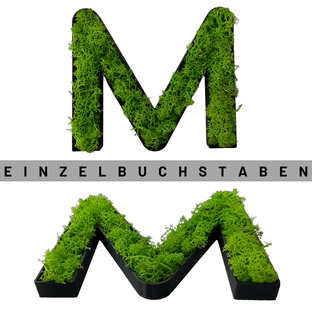 Moos Buchstabe mit echtem konserviertem Moos gefüllt