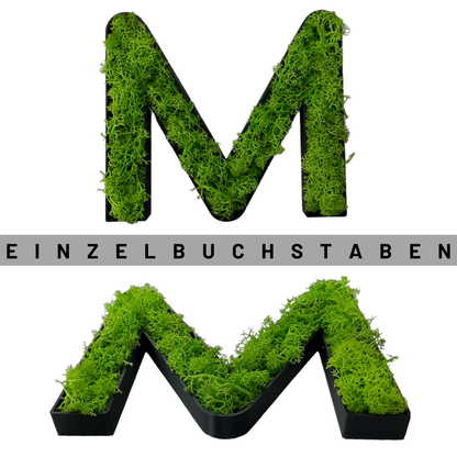 Moos Buchstabe mit echtem konserviertem Moos gefüllt
