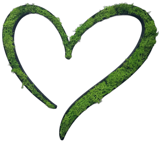 Moos Herz Wanddeko – natürliches Moosbild Herz | moderne Wanddekoration