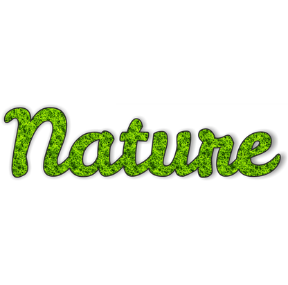Moos Schriftzug „Nature“ – 35×9 cm | Natur Deko aus konserviertem Moos