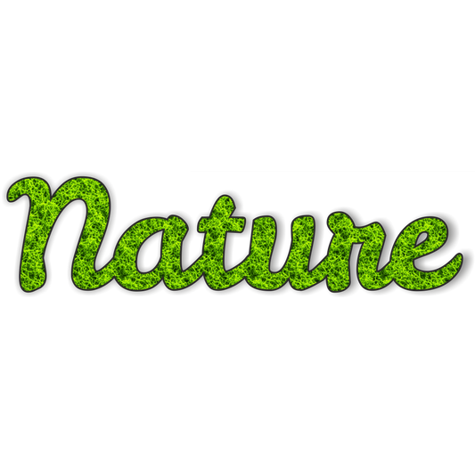 Moos Schriftzug „Nature“ – 35×9 cm | Natur Deko aus konserviertem Moos