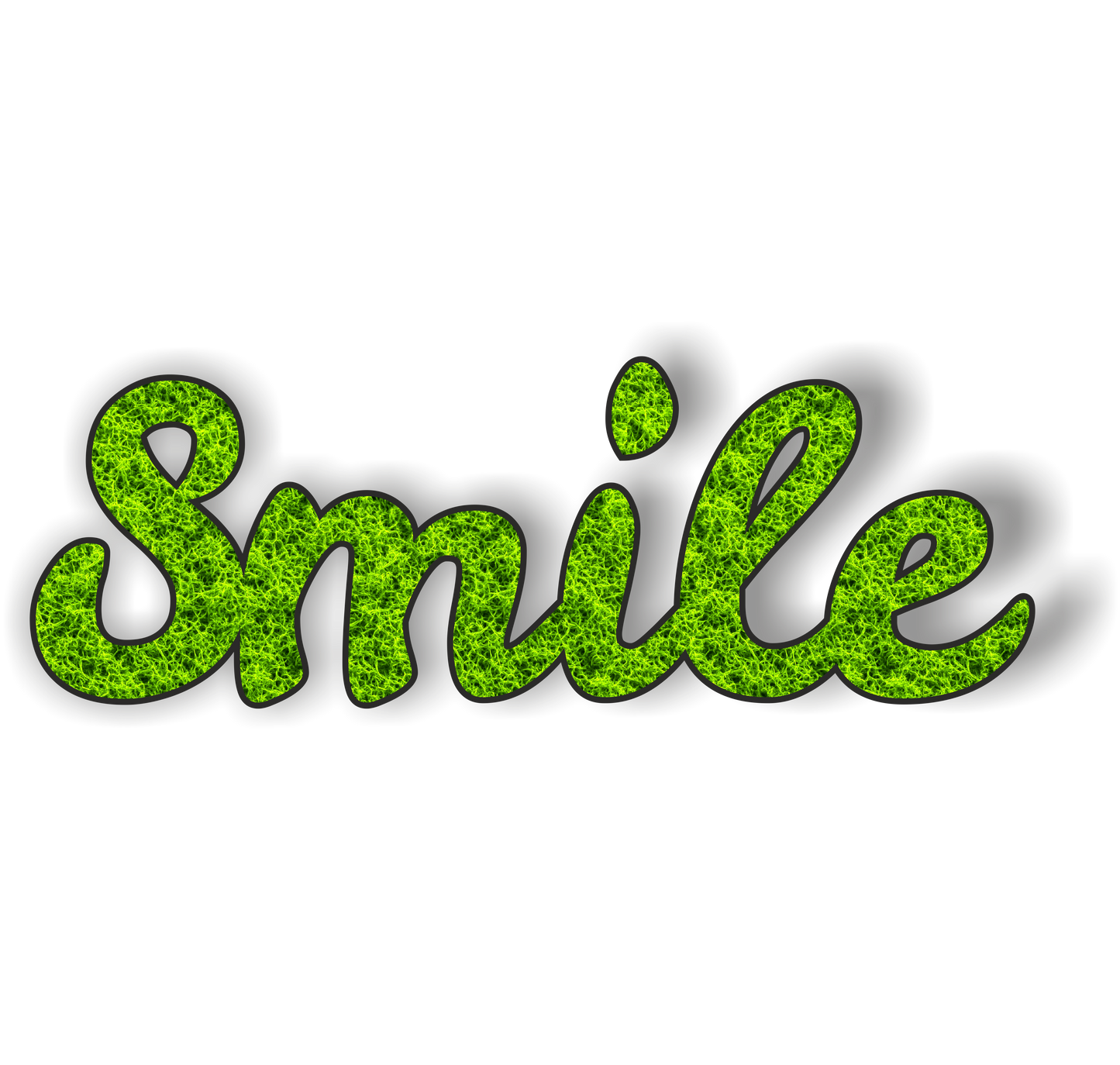 Moos Schriftzug „Smile“ – 34×12 cm | Natur Deko aus konserviertem Moos